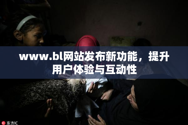 www.bl网站发布新功能，提升用户体验与互动性