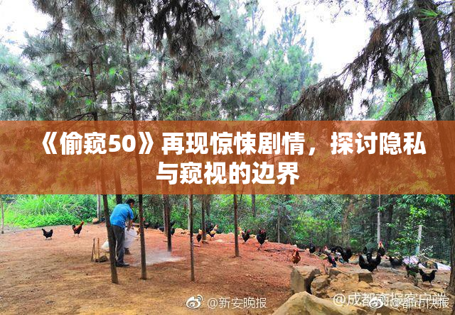 《偷窥50》再现惊悚剧情，探讨隐私与窥视的边界