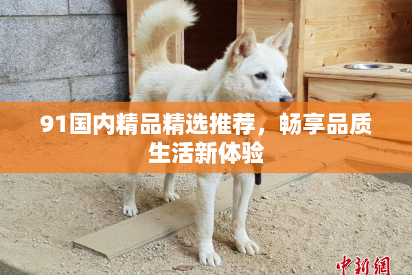 91国内精品精选推荐，畅享品质生活新体验
