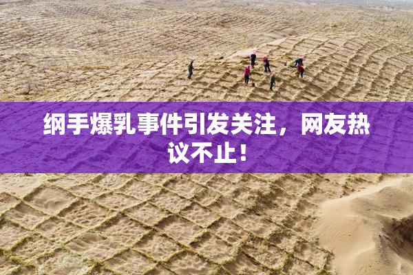 纲手爆乳事件引发关注，网友热议不止！