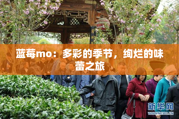 蓝莓mo：多彩的季节，绚烂的味蕾之旅