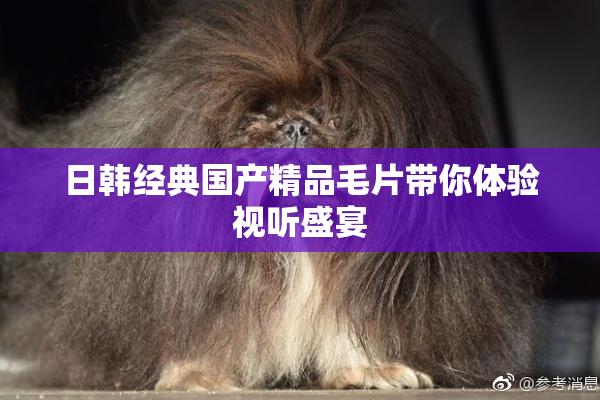 日韩经典国产精品毛片带你体验视听盛宴