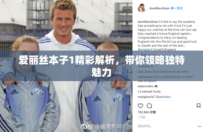 爱丽丝本子1精彩解析，带你领略独特魅力