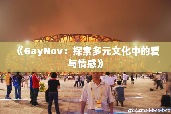《GayNov：探索多元文化中的爱与情感》