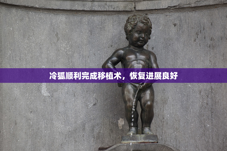 冷狐顺利完成移植术，恢复进展良好