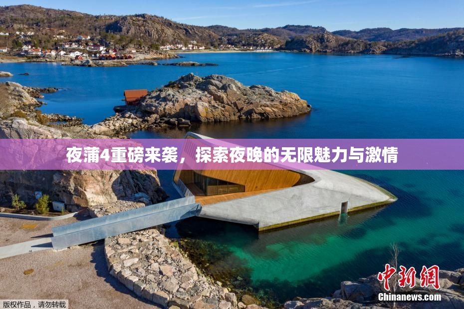 夜蒲4重磅来袭，探索夜晚的无限魅力与激情