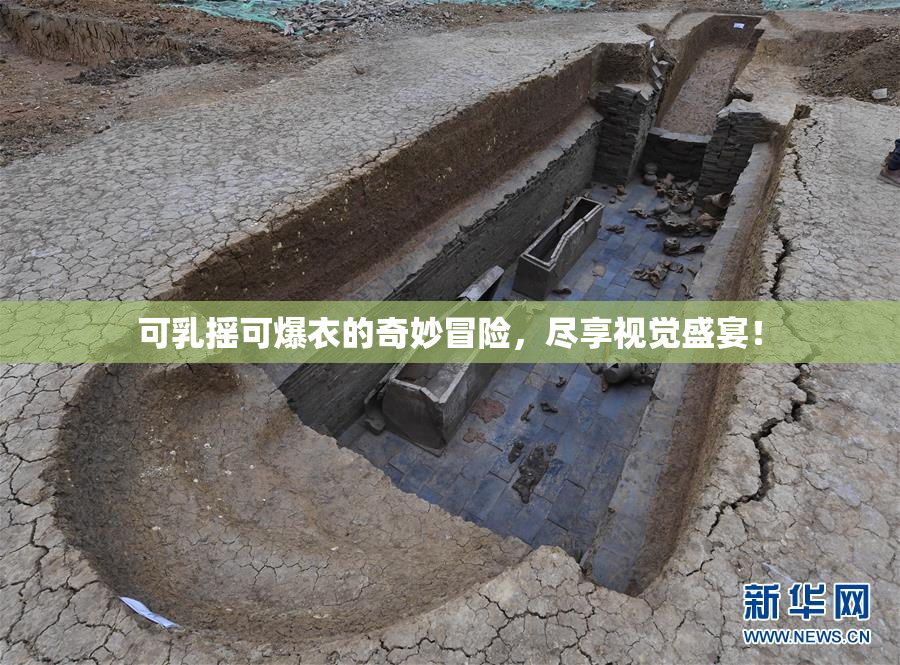 可乳摇可爆衣的奇妙冒险，尽享视觉盛宴！