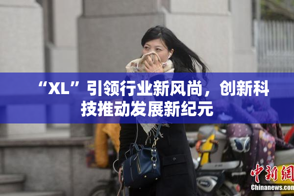“XL”引领行业新风尚，创新科技推动发展新纪元
