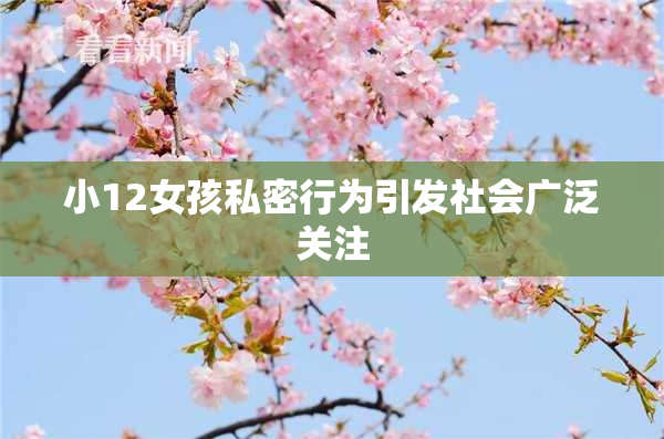 小12女孩私密行为引发社会广泛关注