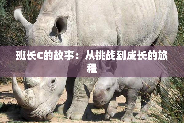 班长C的故事：从挑战到成长的旅程