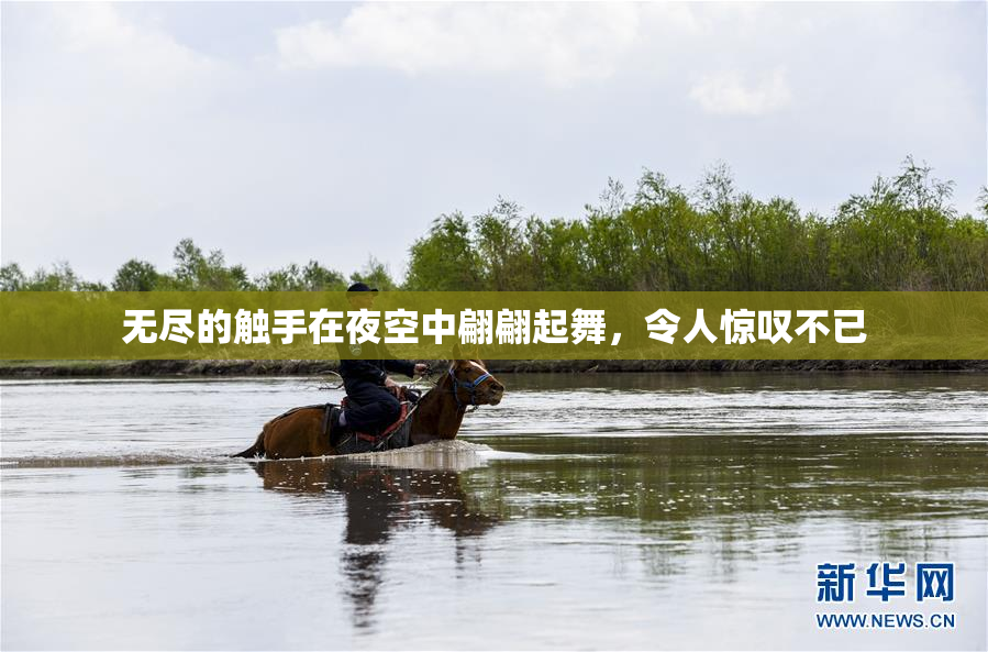 无尽的触手在夜空中翩翩起舞，令人惊叹不已