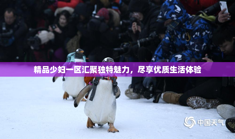 精品少妇一区汇聚独特魅力，尽享优质生活体验