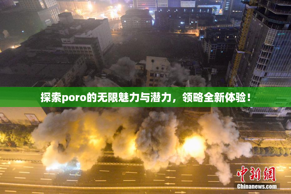 探索poro的无限魅力与潜力，领略全新体验！