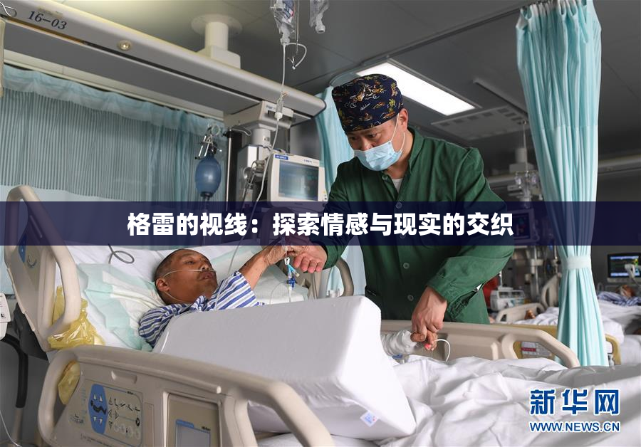 格雷的视线：探索情感与现实的交织
