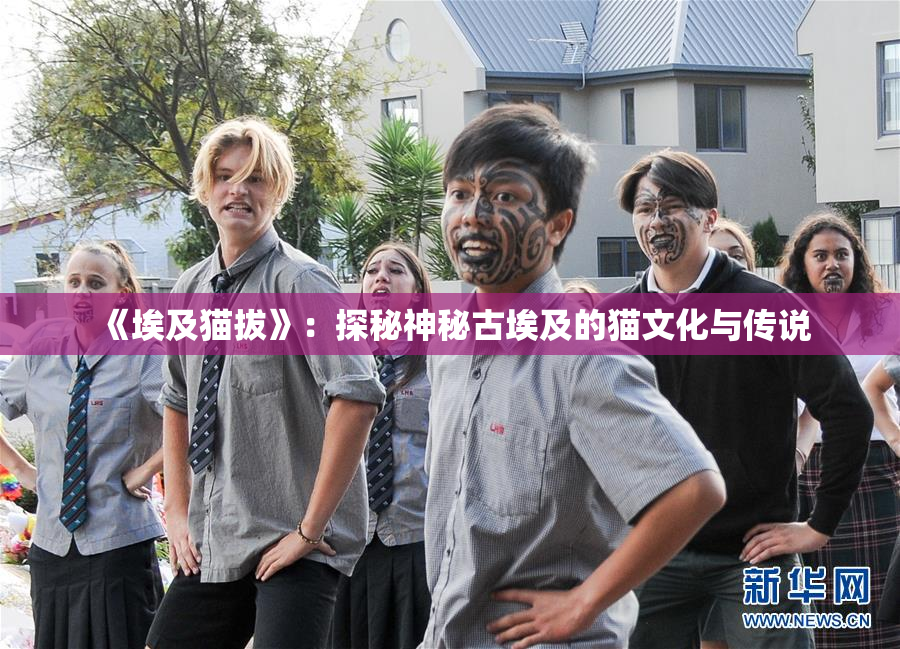 《埃及猫拔》：探秘神秘古埃及的猫文化与传说
