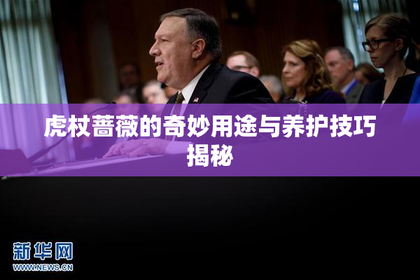 虎杖蔷薇的奇妙用途与养护技巧揭秘