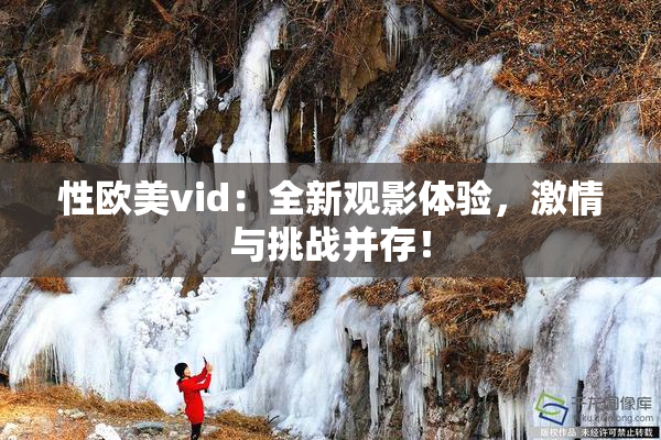 性欧美vid：全新观影体验，激情与挑战并存！