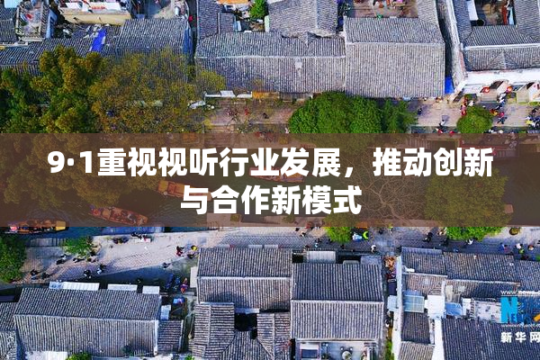 9·1重视视听行业发展，推动创新与合作新模式