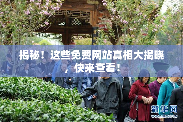 揭秘！这些免费网站真相大揭晓，快来查看！