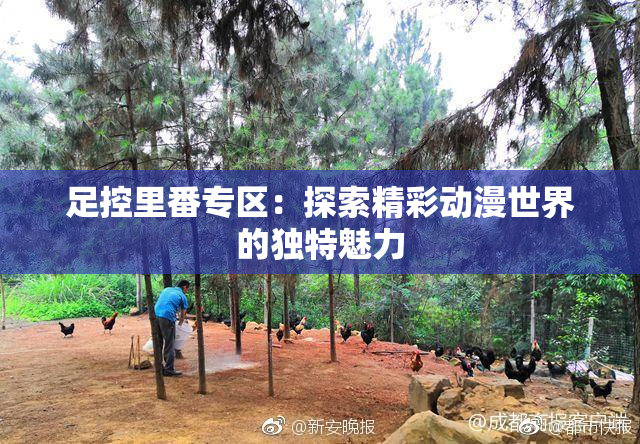 足控里番专区：探索精彩动漫世界的独特魅力