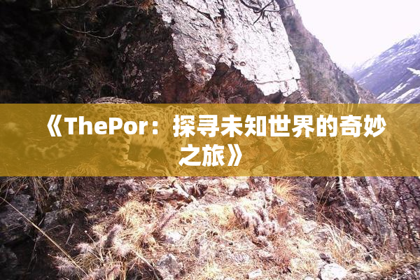 《ThePor：探寻未知世界的奇妙之旅》