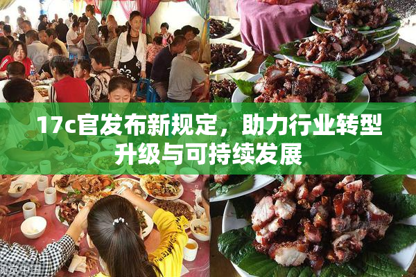 17c官发布新规定，助力行业转型升级与可持续发展