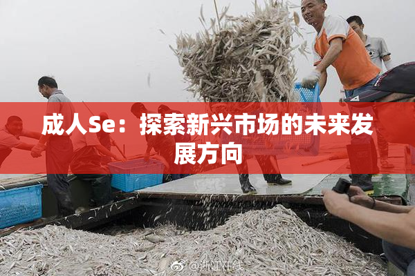 成人Se：探索新兴市场的未来发展方向