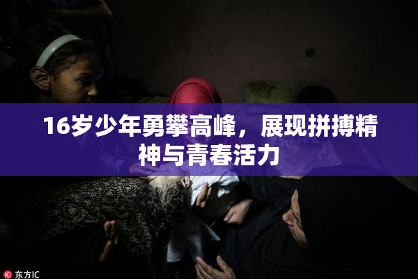 16岁少年勇攀高峰，展现拼搏精神与青春活力