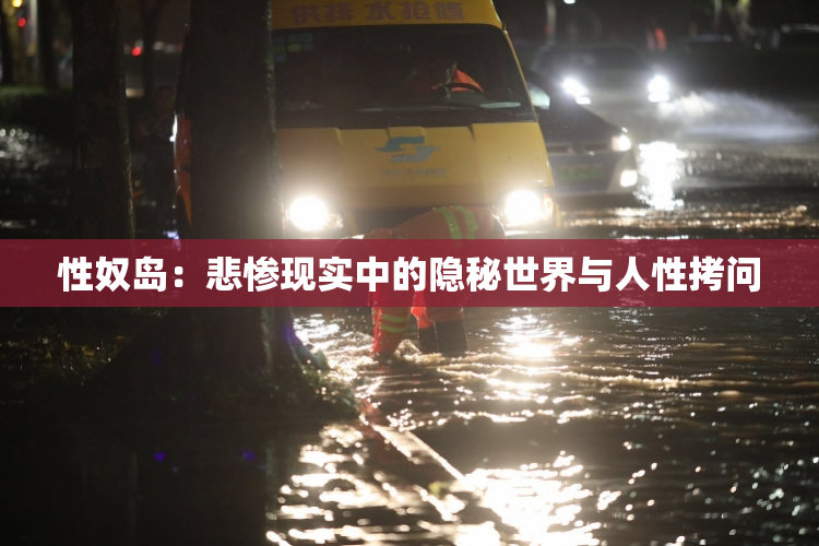 性奴岛：悲惨现实中的隐秘世界与人性拷问