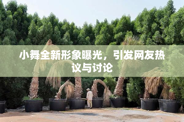 小舞全新形象曝光，引发网友热议与讨论