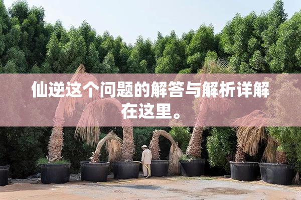 仙逆这个问题的解答与解析详解在这里。