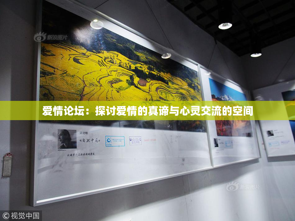 爱情论坛：探讨爱情的真谛与心灵交流的空间