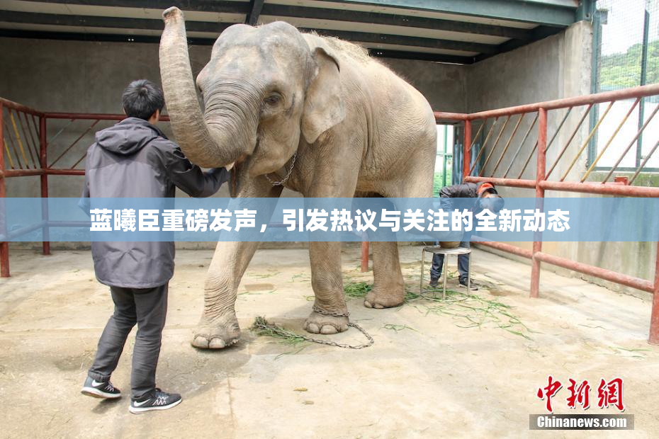 蓝曦臣重磅发声，引发热议与关注的全新动态