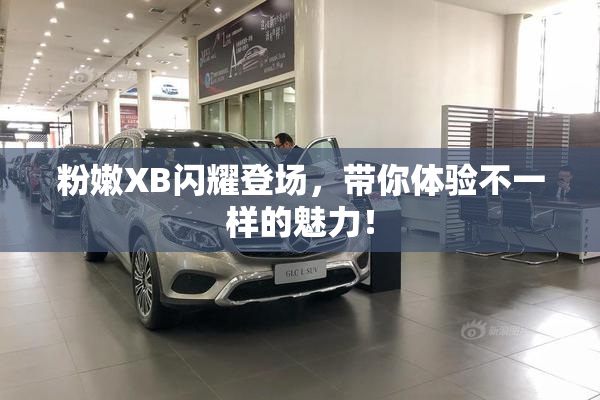 粉嫩XB闪耀登场，带你体验不一样的魅力！