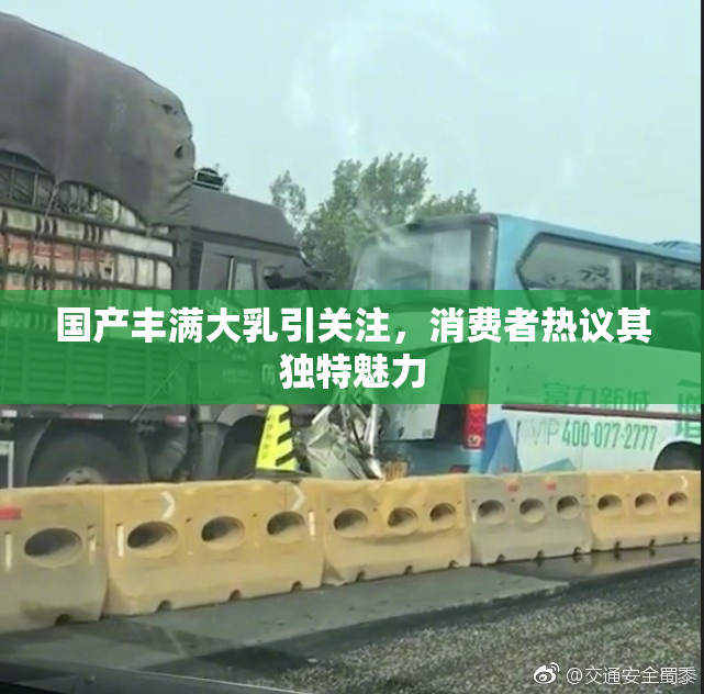 国产丰满大乳引关注，消费者热议其独特魅力