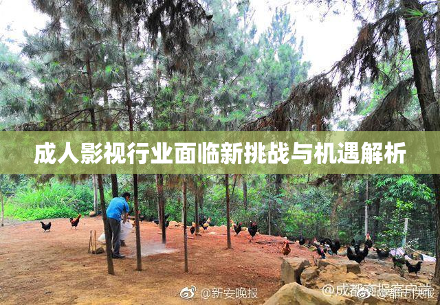 成人影视行业面临新挑战与机遇解析