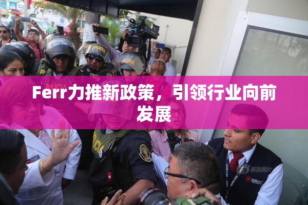 Ferr力推新政策，引领行业向前发展
