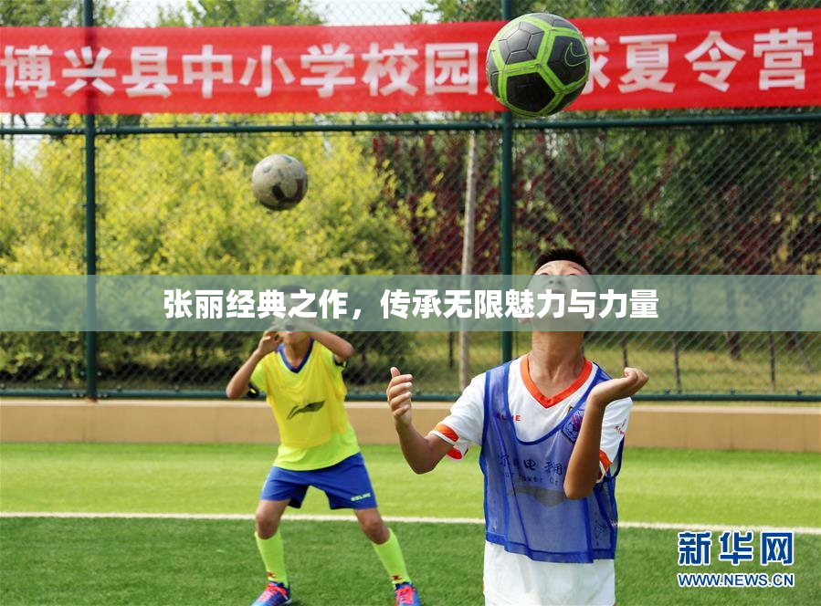 张丽经典之作，传承无限魅力与力量