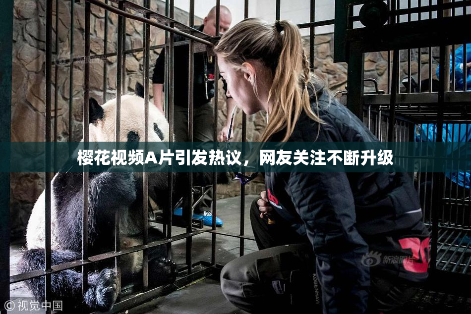 樱花视频A片引发热议，网友关注不断升级
