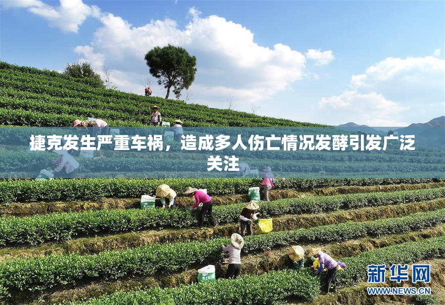 捷克发生严重车祸，造成多人伤亡情况发酵引发广泛关注