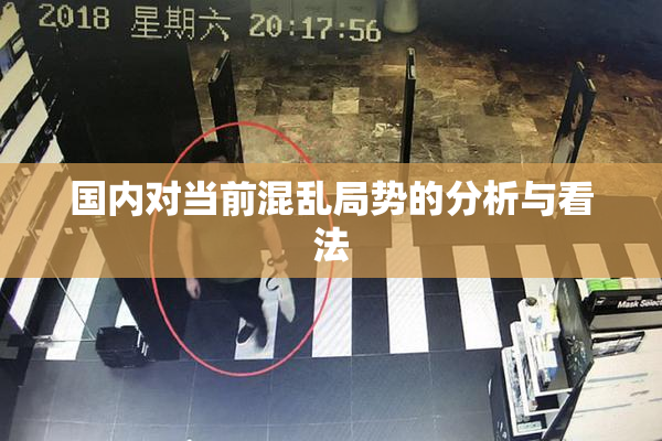 国内对当前混乱局势的分析与看法