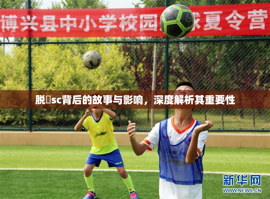 脱糞sc背后的故事与影响，深度解析其重要性