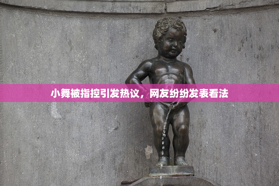 小舞被指控引发热议，网友纷纷发表看法