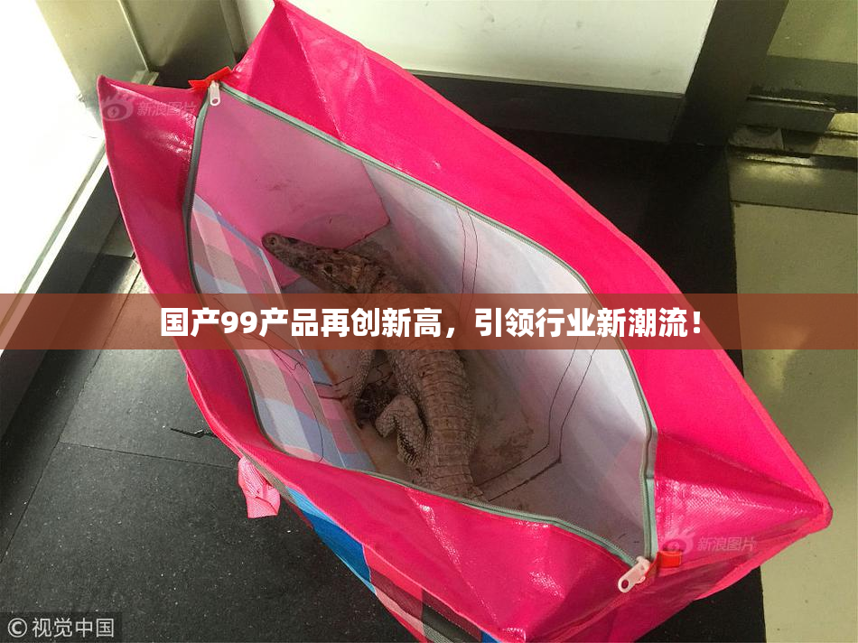 国产99产品再创新高，引领行业新潮流！
