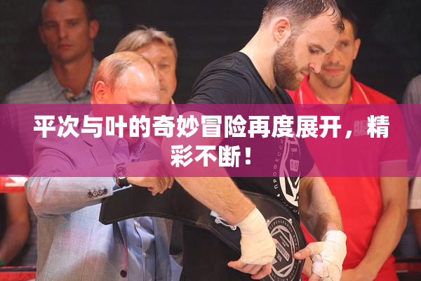平次与叶的奇妙冒险再度展开，精彩不断！