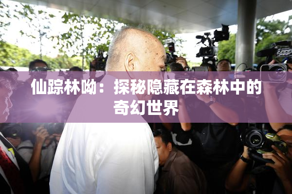 仙踪林呦：探秘隐藏在森林中的奇幻世界