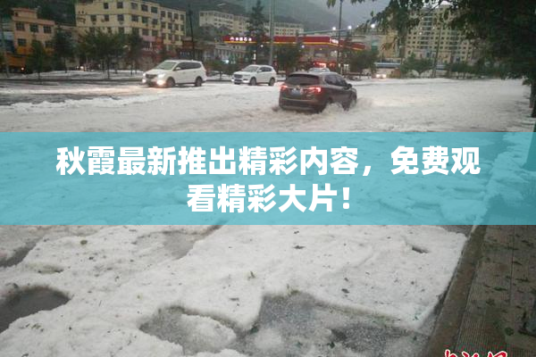 秋霞最新推出精彩内容，免费观看精彩大片！