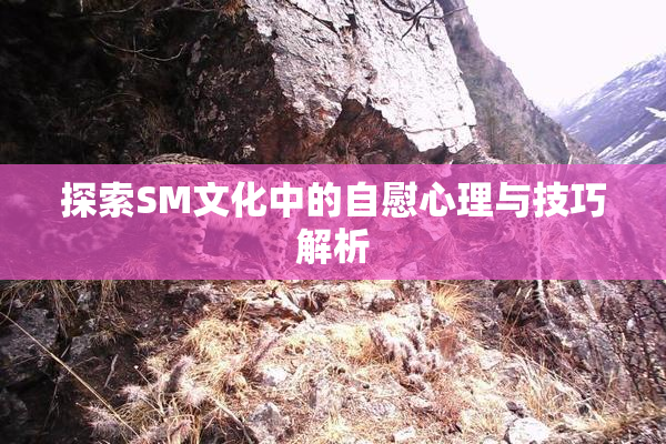 探索SM文化中的自慰心理与技巧解析
