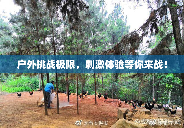 户外挑战极限，刺激体验等你来战！
