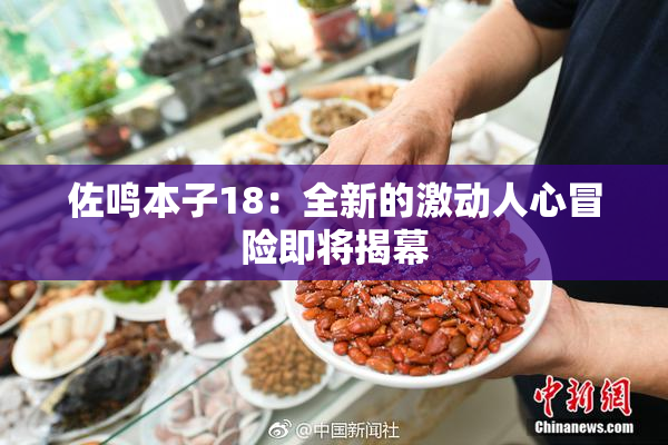 佐鸣本子18：全新的激动人心冒险即将揭幕